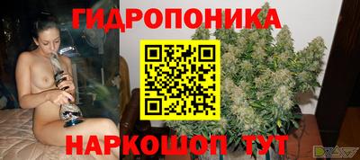 гашик Будённовск