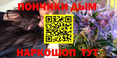 гашик Будённовск
