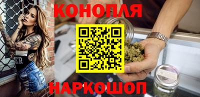 гашик Будённовск