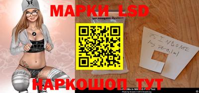 гашик Будённовск