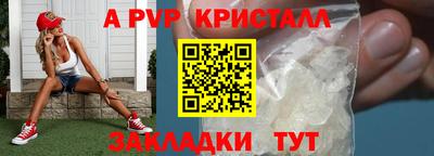 гашик Будённовск