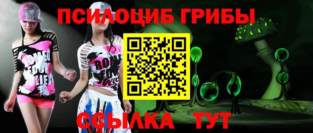 Галлюциногенные грибы GOLDEN TEACHER Скопин